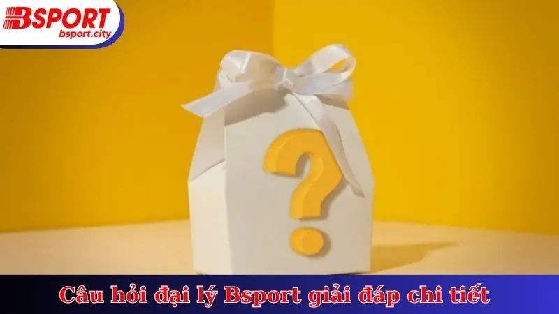 Câu hỏi đại lý Bsport giải đáp chi tiết