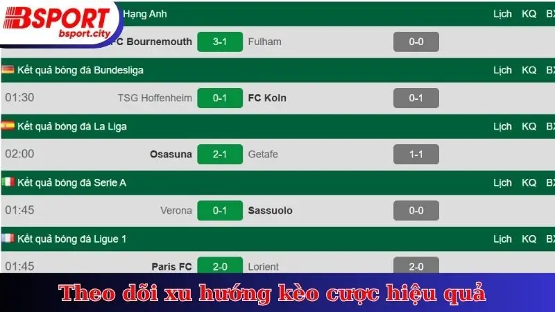 Theo dõi xu hướng kèo cược hiệu quả